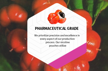 Caffeine Pouches,Caffeine Energy Pouches Manufacturer,White Label Caffeine Pouches,Private brand Caffeine Energy Pouches,Nicotine Free