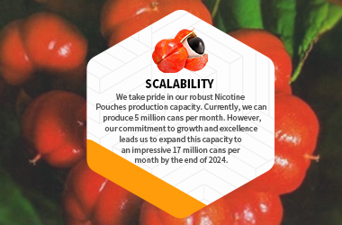 Caffeine Pouches,Caffeine Energy Pouches Manufacturer,White Label Caffeine Pouches,Private brand Caffeine Energy Pouches,Nicotine Free