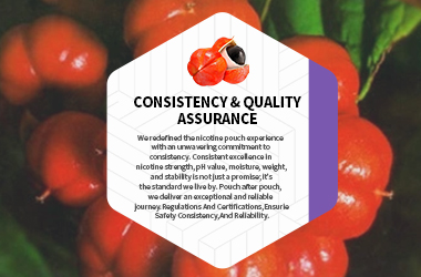 Caffeine Pouches | Caffeine Energy Pouches Manufacturer,Nicotine Free,White Label Caffeine Pouches,Private brand Caffeine Energy Pouches